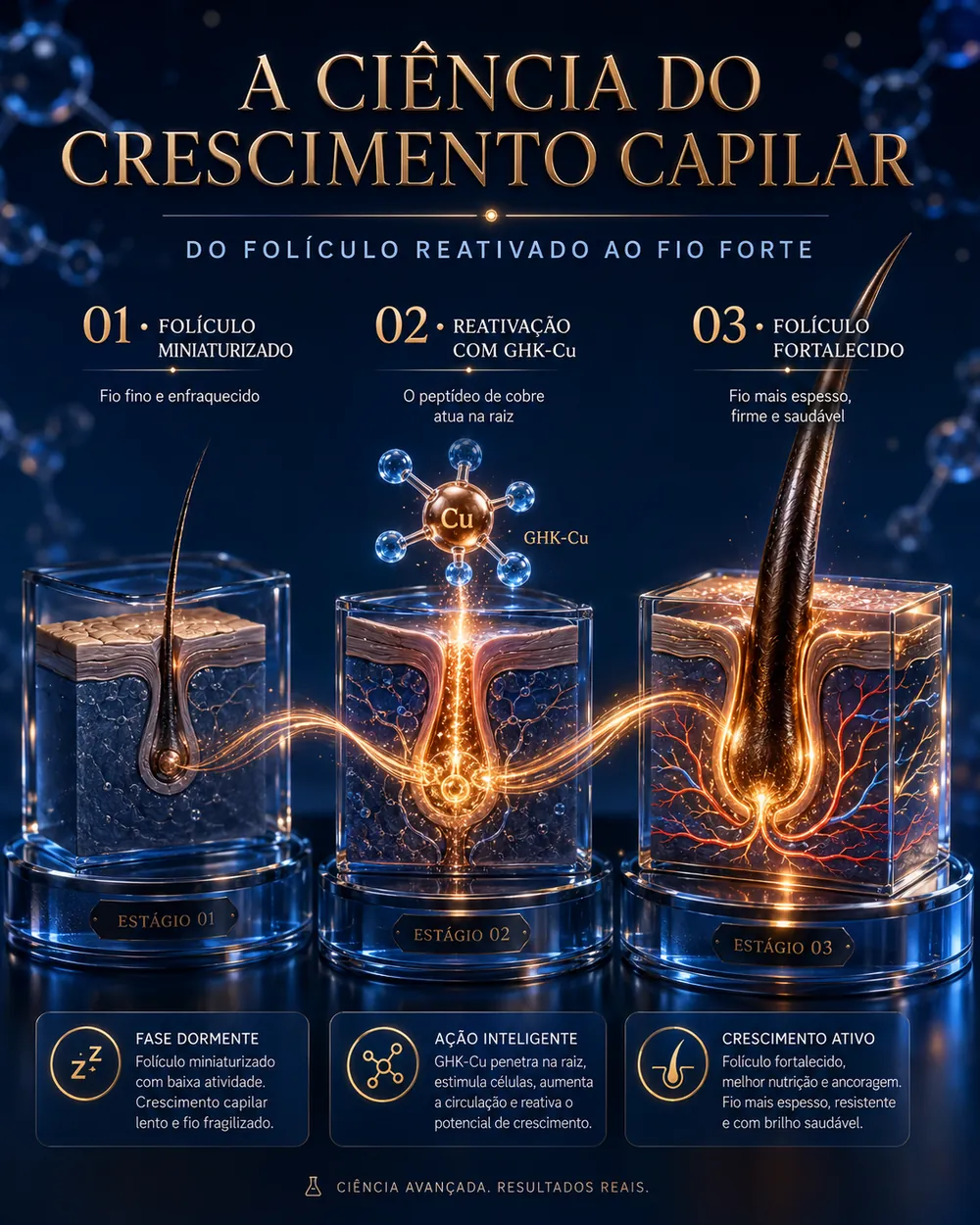 A ciência do crescimento capilar — do folículo reativado ao fio forte
